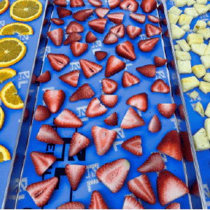 The CUBE Freeze Dryer Silicone Mat - Image 3