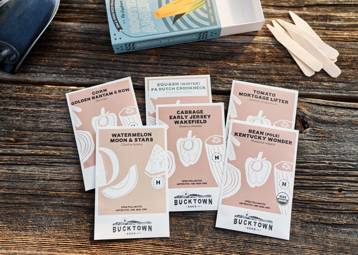 The Explorer : Rooted in America - Seed Collection - Image 4