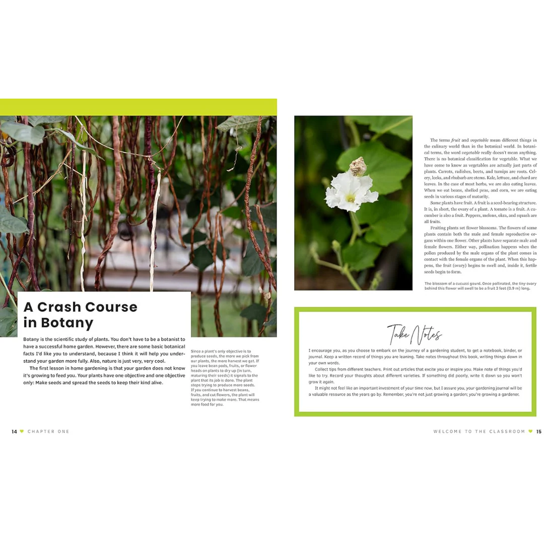 The First-time Gardener: All the know-how and encouragement you need to grow your brand new food garden (Spiral Bound) - Image 3