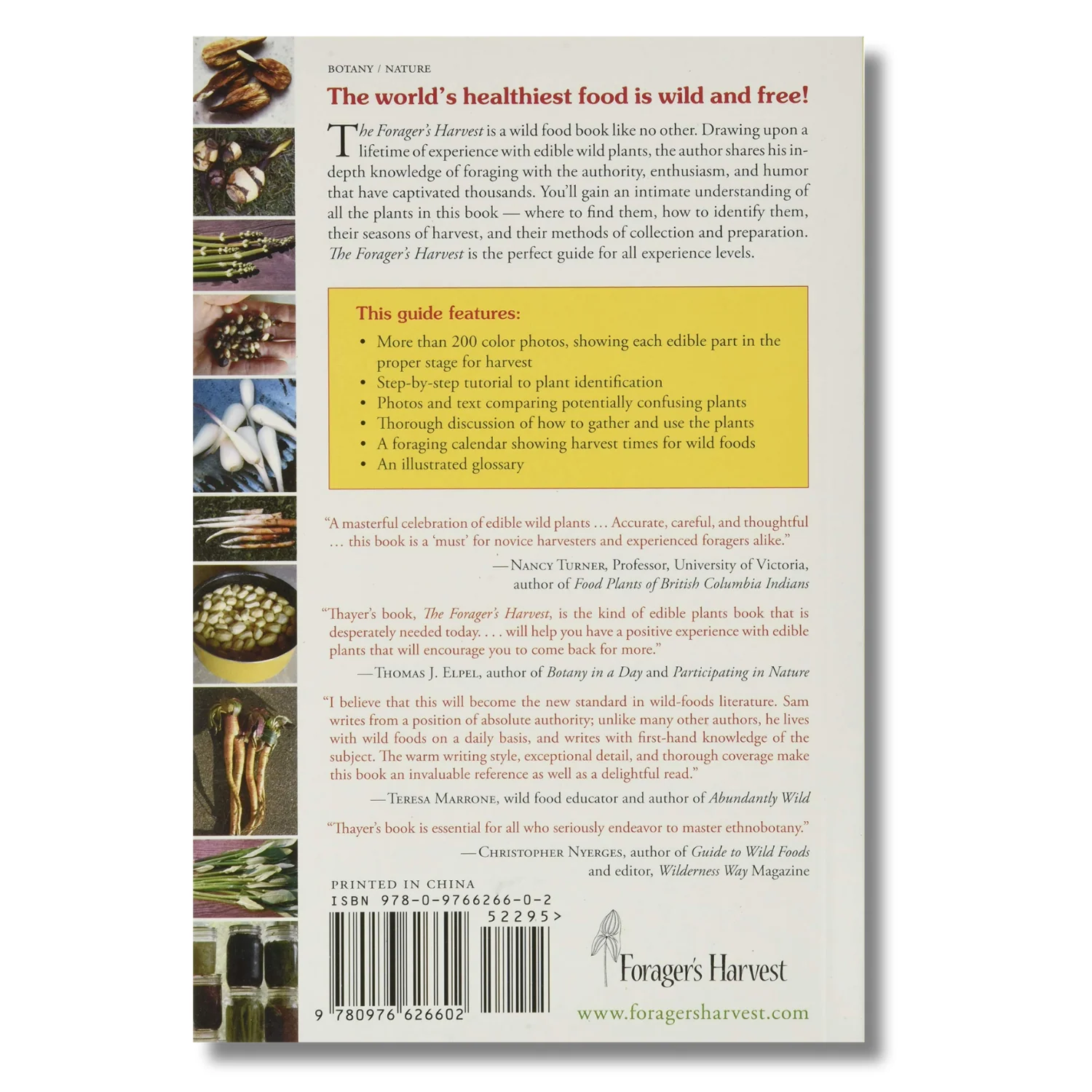 The Forager's Harvest: A Guide to Identifying, Harvesting, and Preparing Edible Wild Plants (Spiral Bound) - Image 2