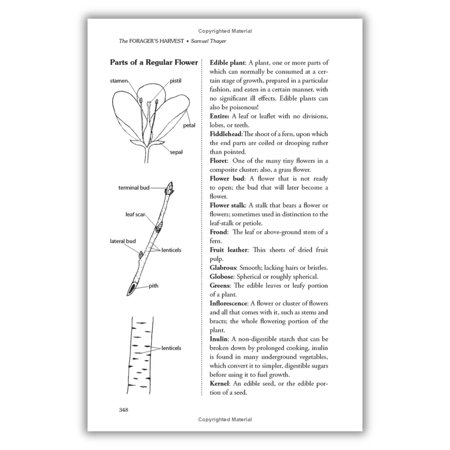 The Forager's Harvest: A Guide to Identifying, Harvesting, and Preparing Edible Wild Plants (Spiral Bound) - Image 3
