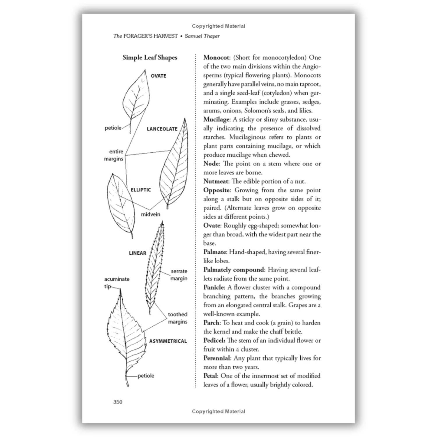 The Forager's Harvest: A Guide to Identifying, Harvesting, and Preparing Edible Wild Plants (Spiral Bound) - Image 5