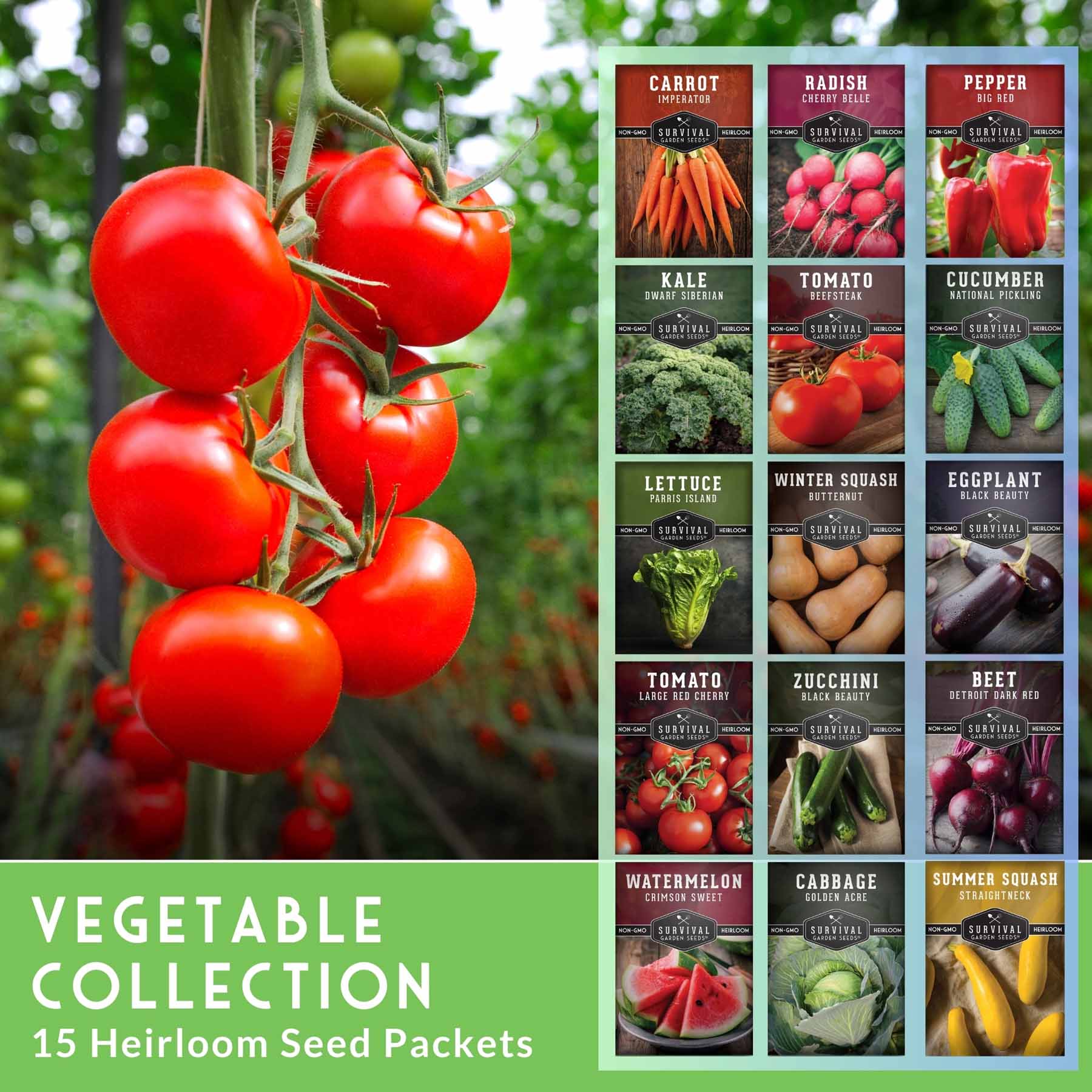 Vegetable Garden Collection - 15 Packs of Vegetable Seeds - Image 2