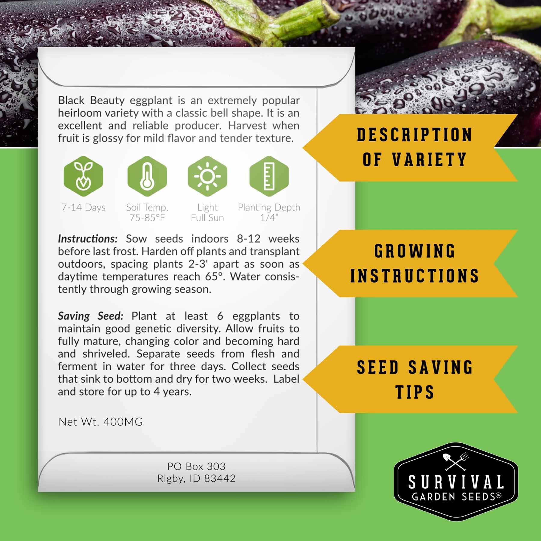 Vegetable Garden Collection - 15 Packs of Vegetable Seeds - Image 3