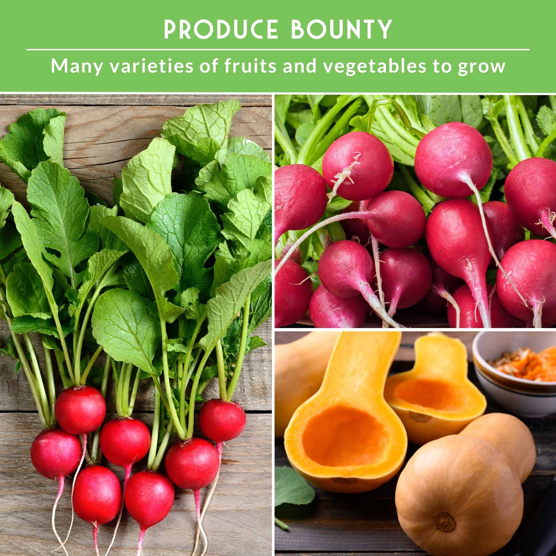 Vegetable Garden Collection - 15 Packs of Vegetable Seeds - Image 4