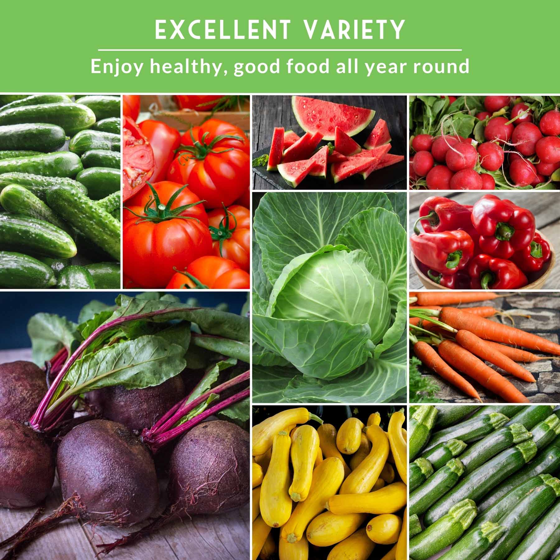Vegetable Garden Collection - 15 Packs of Vegetable Seeds - Image 5