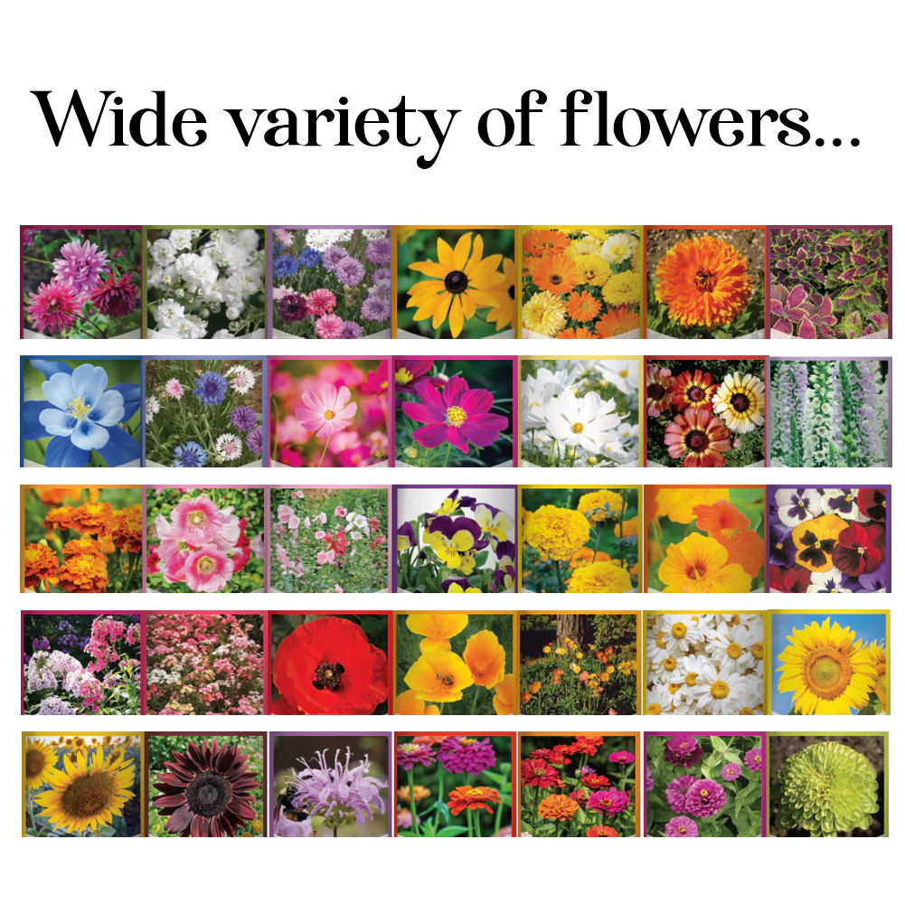 Wildflower, Perennial, & Annual Flower Seed Kit | 35 Variety Pack - Image 7